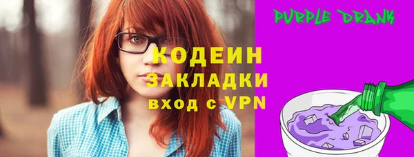 шишки Белокуриха