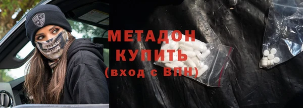 шишки Белокуриха
