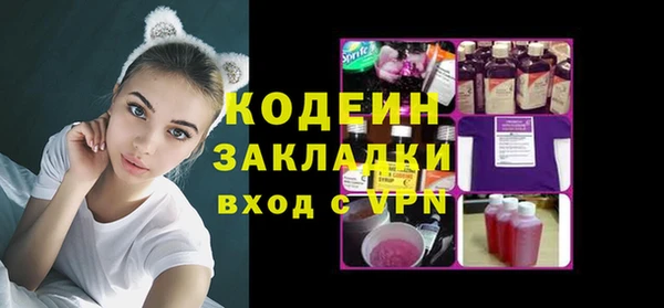 шишки Белокуриха