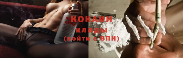 шишки Белокуриха
