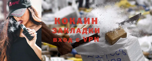 шишки Белокуриха