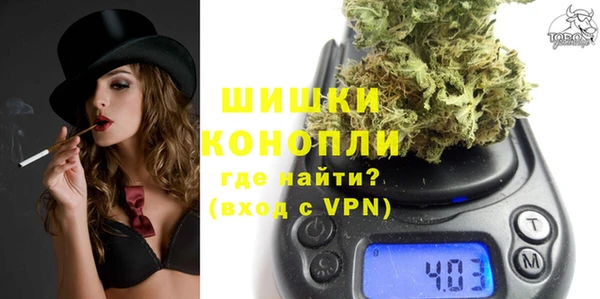 шишки Белокуриха