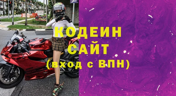 шишки Белокуриха