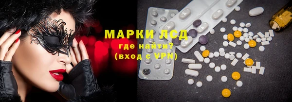шишки Белокуриха
