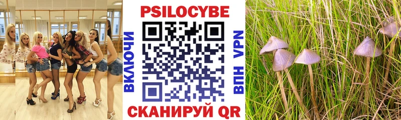 Псилоцибиновые грибы Psilocybine cubensis  цена   Можга 
